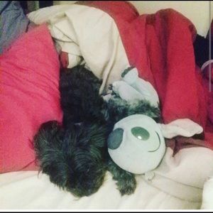 Meet your Posher, Cristina